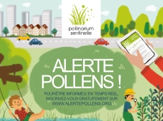 affiche-alerte-pollens
